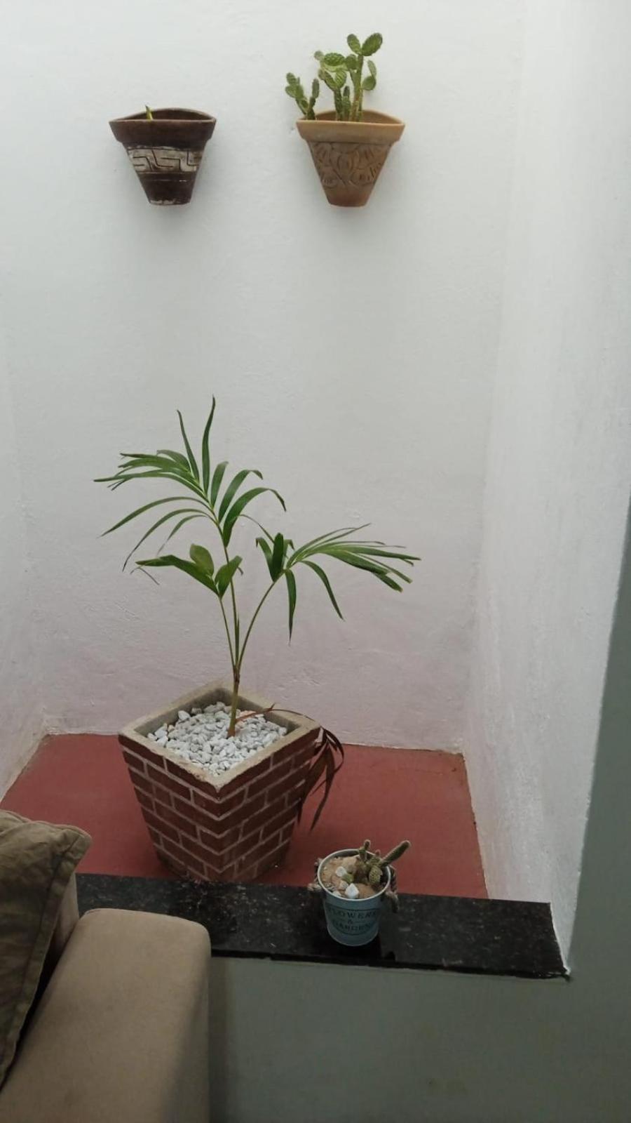 Casa Md Villa Camocim Dış mekan fotoğraf